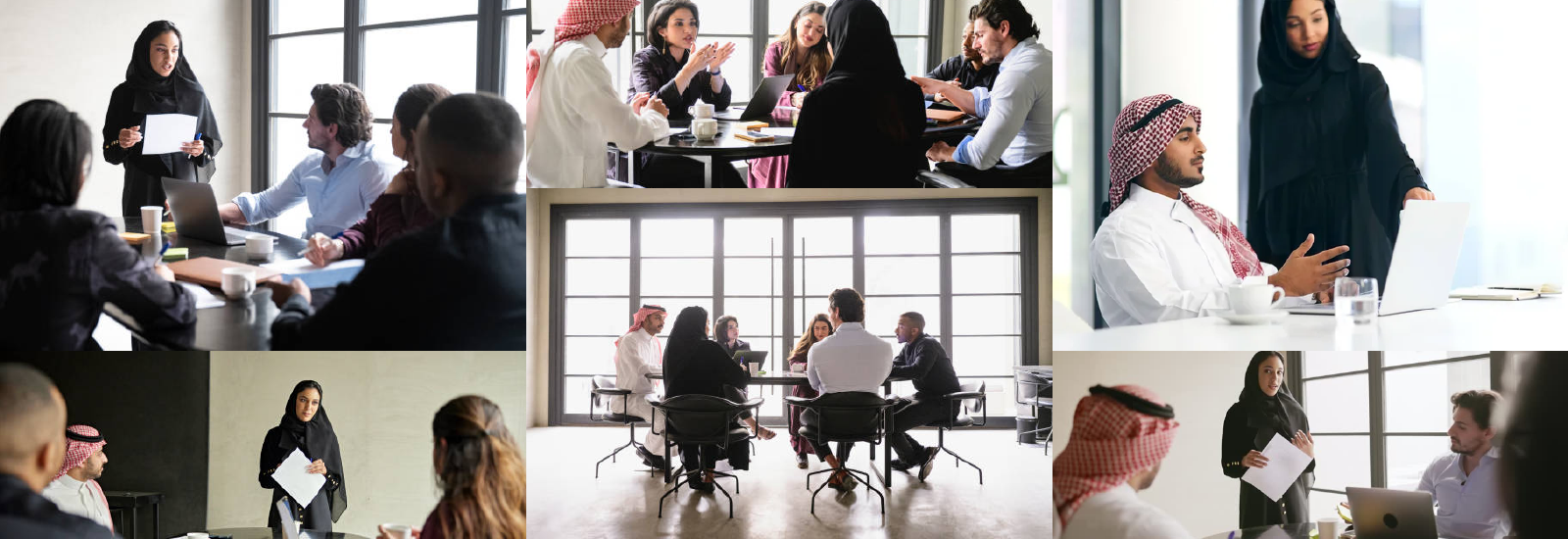 NetSuite ERP Business Case