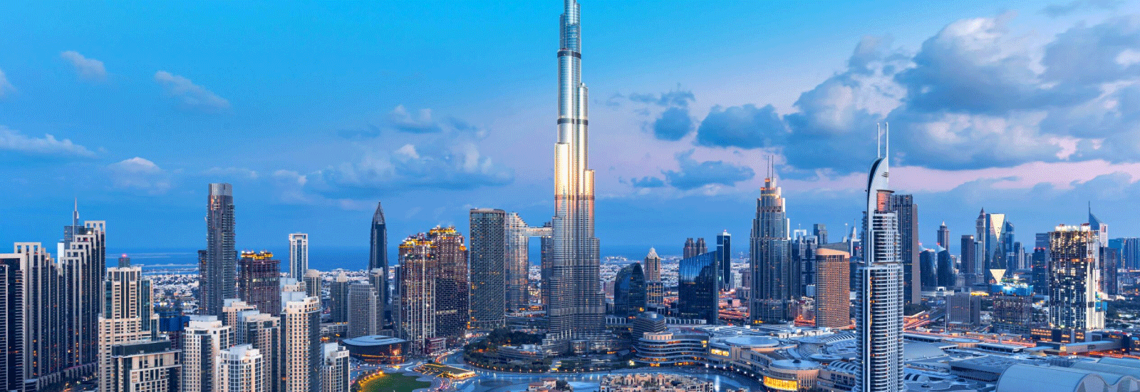 Top NetSuite Partners UAE