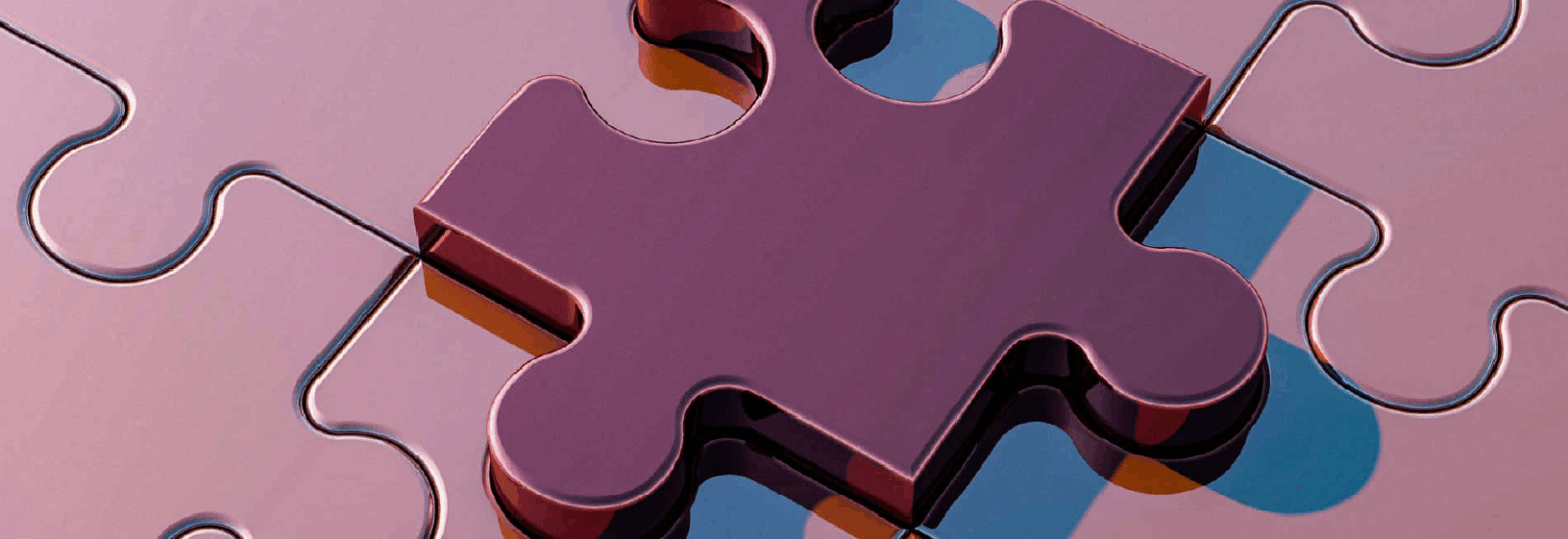 NetSuite Integration Connectors UAE | Dynasoft Cloud ERP