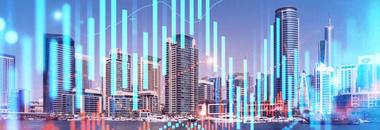 ERP Software Financial Services | NetSuite Dynasoft Cloud UAE