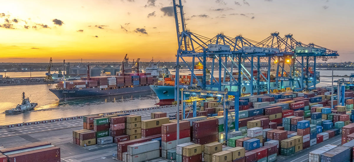 NetSuite Logistics ERP Dynasoft Cloud